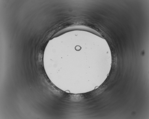 X0000115260281200912111147