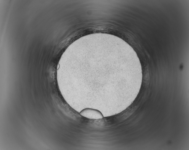 X0000115260282200912111147