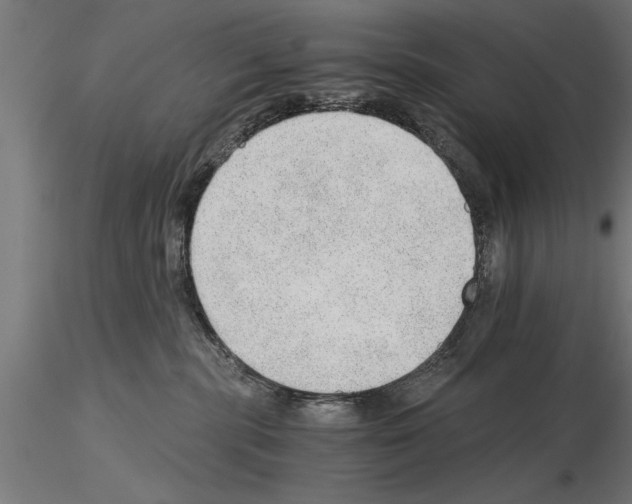 X0000115260283200912111147