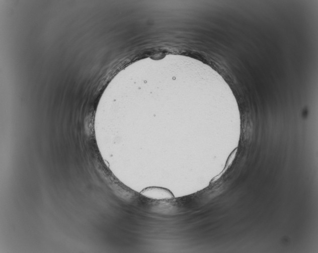 X0000115260285200912111147