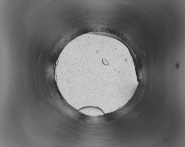 X0000115260286200912111147