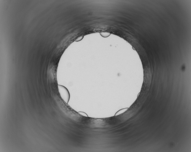 X0000115260287200912111147