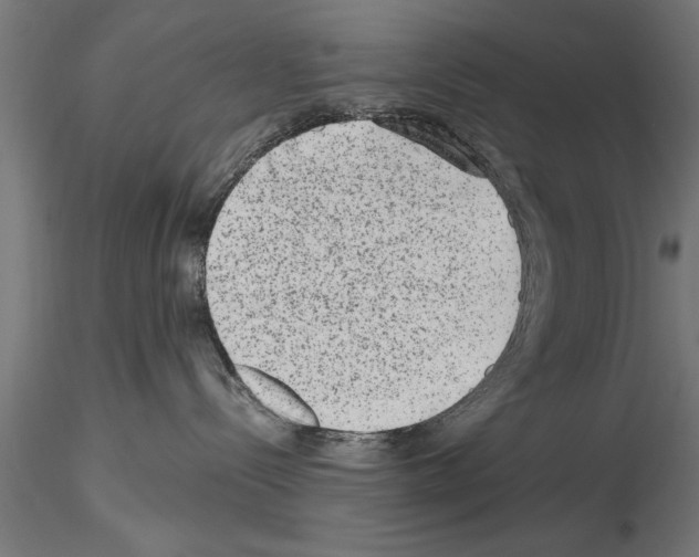 X0000115260288200912111147