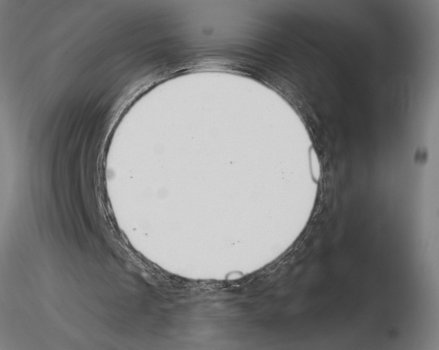 X0000115260289200912111146