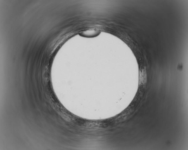 X0000115260291200912111146