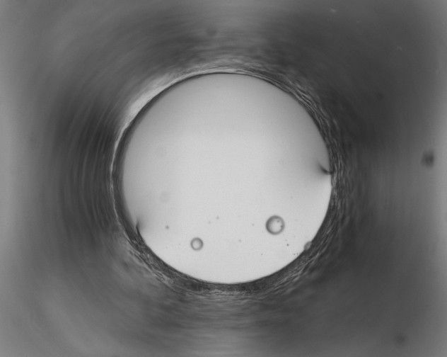 X0000115260292200912111146