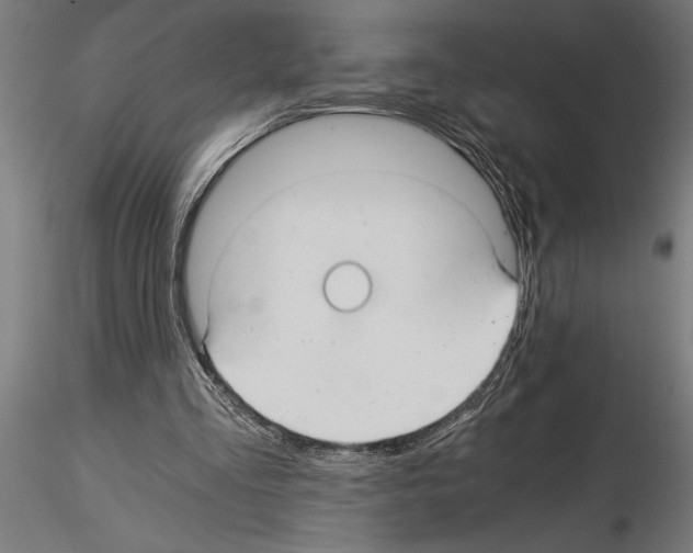 X0000115260293200912111146