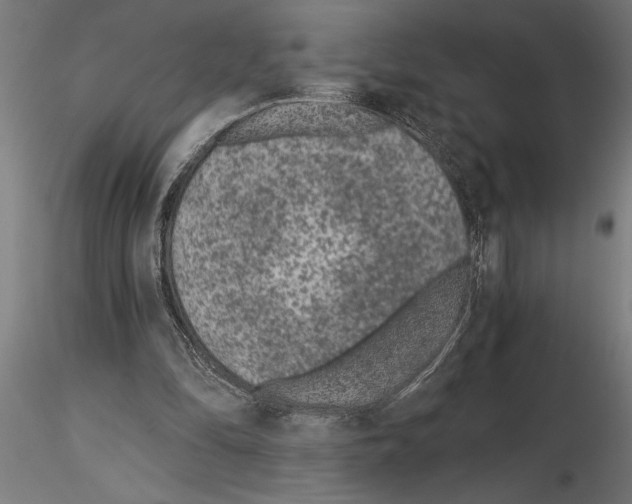 X0000115260294200912111146