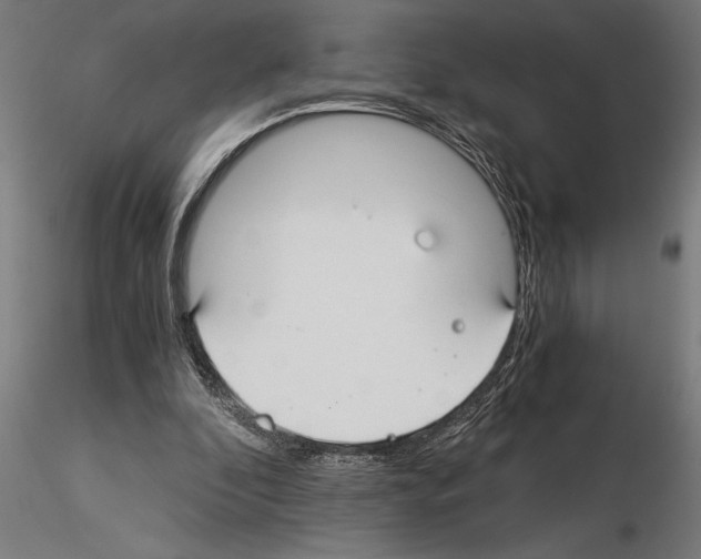 X0000115260296200912111146