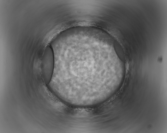 X0000115260297200912111146