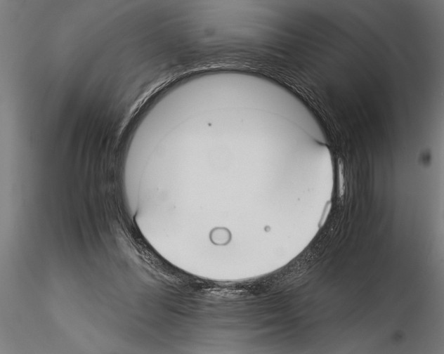 X0000115260300200912111146