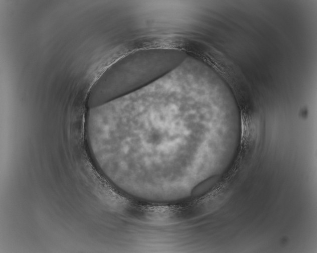 X0000115260301200912111146