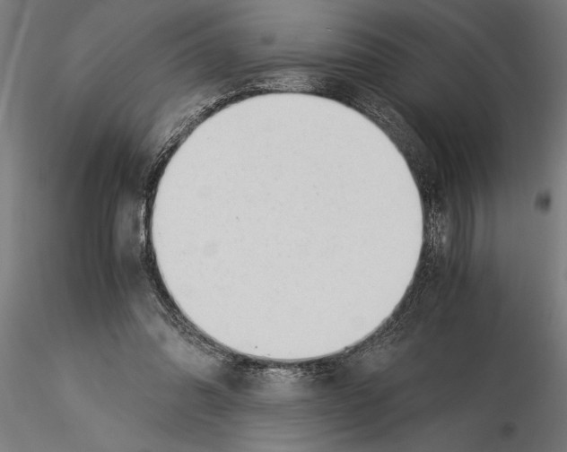 X0000115260302200912111146