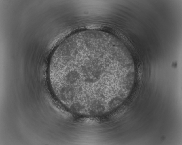 X0000115260303200912111146