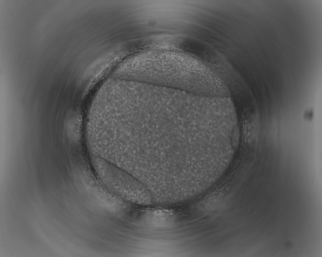 X0000115260304200912111146