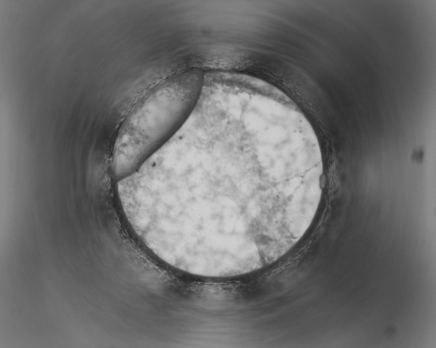 X0000115260305200912111146