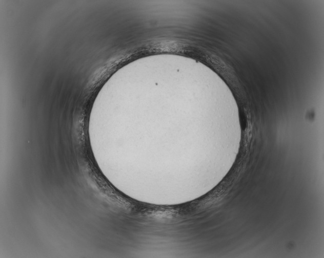 X0000115260306200912111146