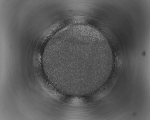 X0000115260308200912111146