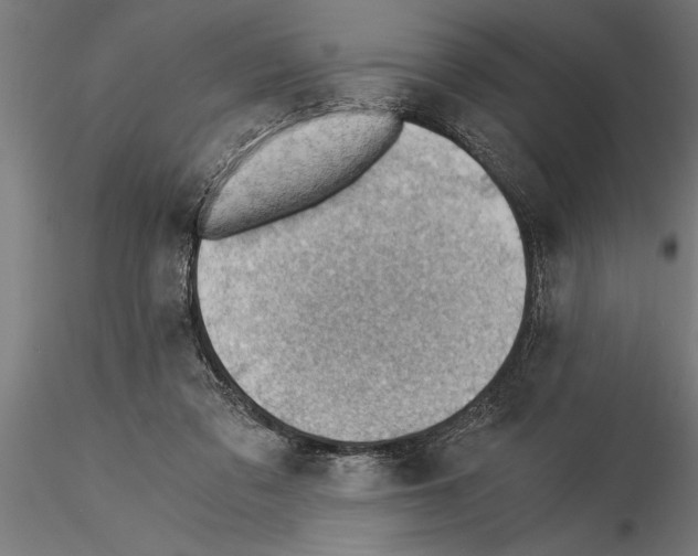 X0000115260309200912111146