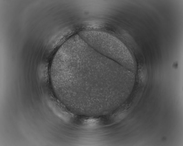 X0000115260312200912111146