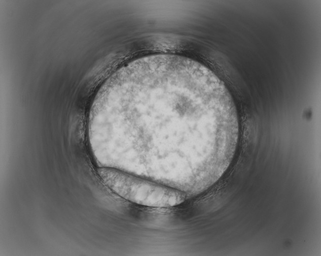 X0000115260313200912111146