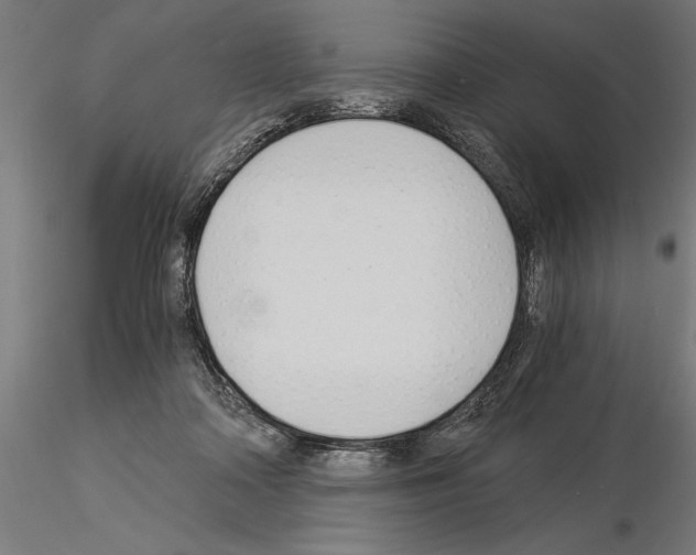 X0000115260314200912111146