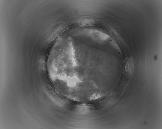 X0000115260316200912111146