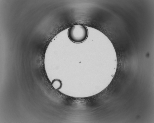 X0000115260317200912111146