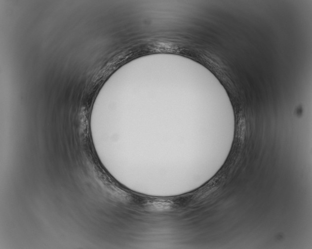 X0000115260318200912111146