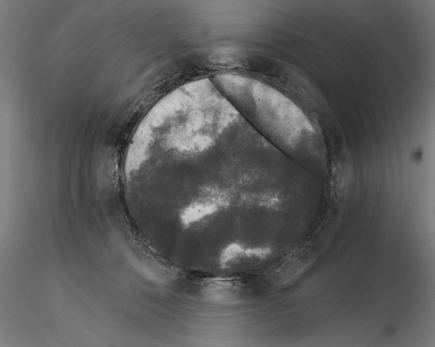 X0000115260320200912111146