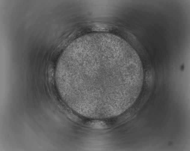 X0000115260322200912111146