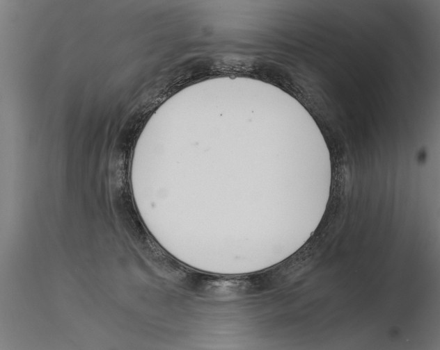 X0000115260323200912111146