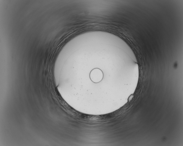 X0000115260325200912111146