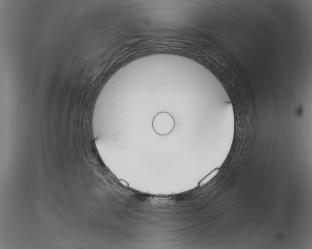 X0000115260327200912111146