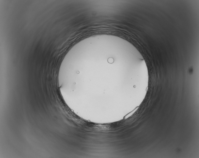 X0000115260328200912111146