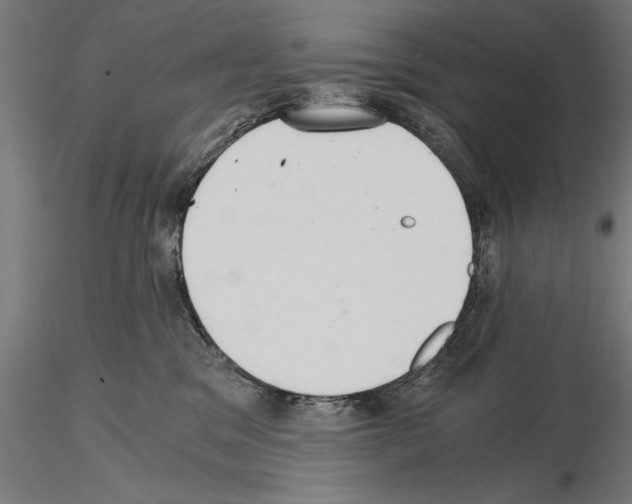 X0000115260329200912111146