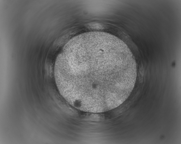 X0000115260330200912111146