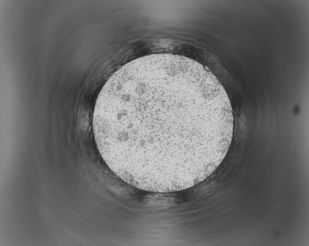 X0000115260331200912111146