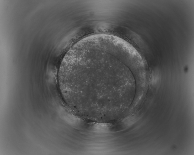 X0000115260332200912111145