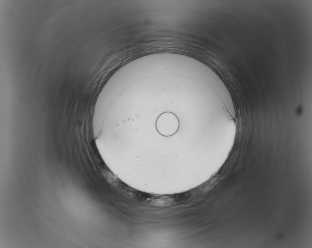 X0000115260333200912111145