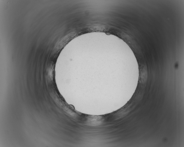 X0000115260334200912111145