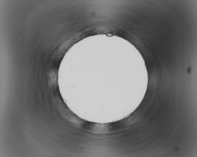 X0000115260335200912111145