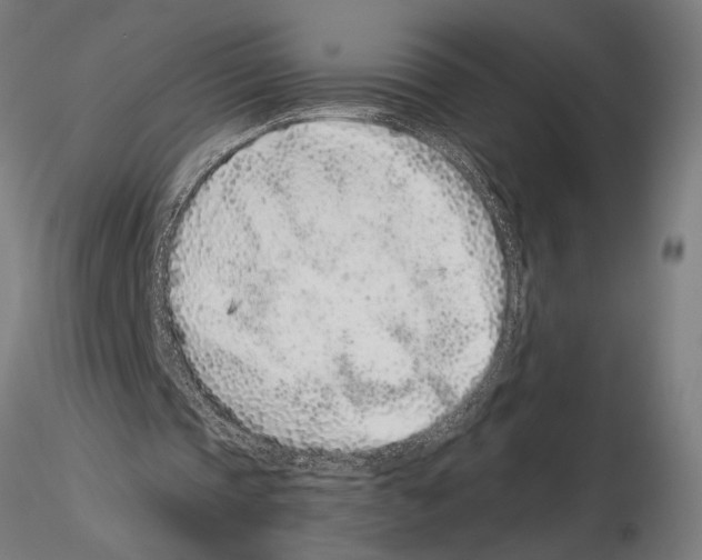 X0000115260337200912111145