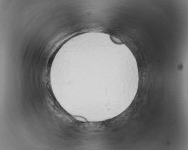 X0000115260338200912111145