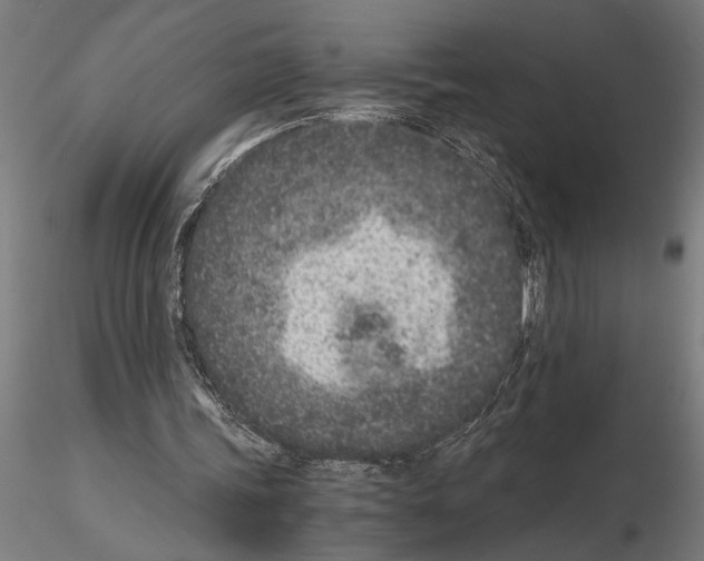 X0000115260339200912111145