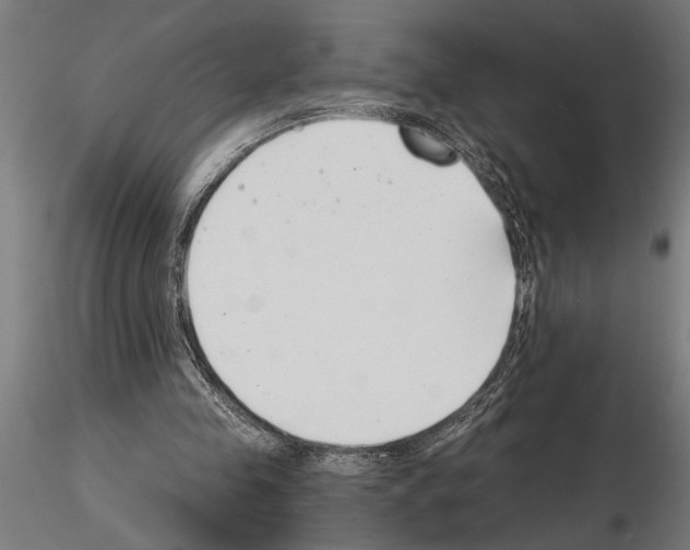 X0000115260341200912111145