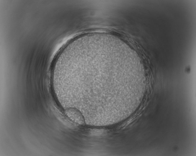 X0000115260342200912111145