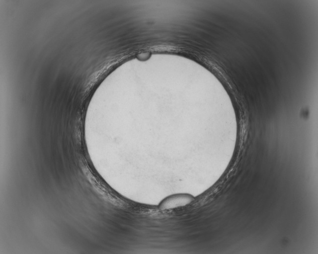 X0000115260345200912111145