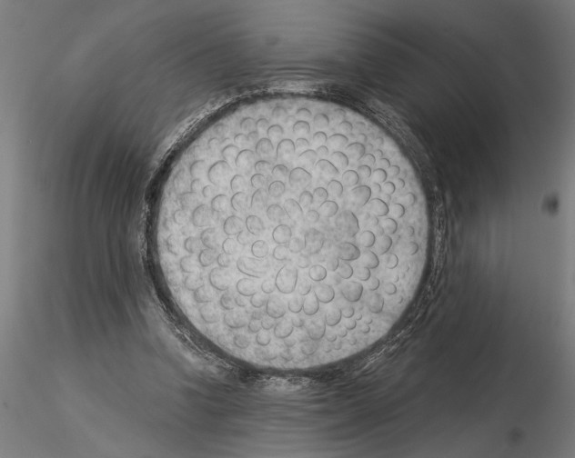 X0000115260346200912111145