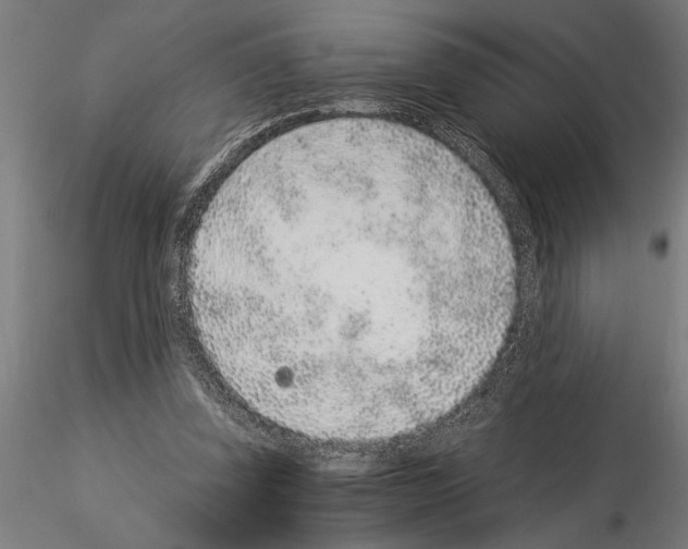 X0000115260347200912111145